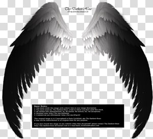 wing #devil #fire - Fire Wing Png Transparent, Png Download , Transparent  Png Image - PNGitem