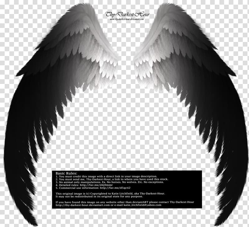 Archangel Drawing Fallen angel, angel wings transparent background PNG clipart