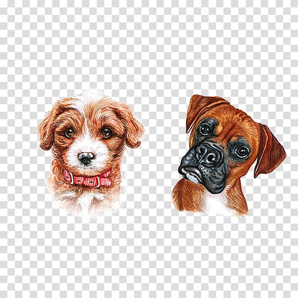cute dog transparent background PNG clipart