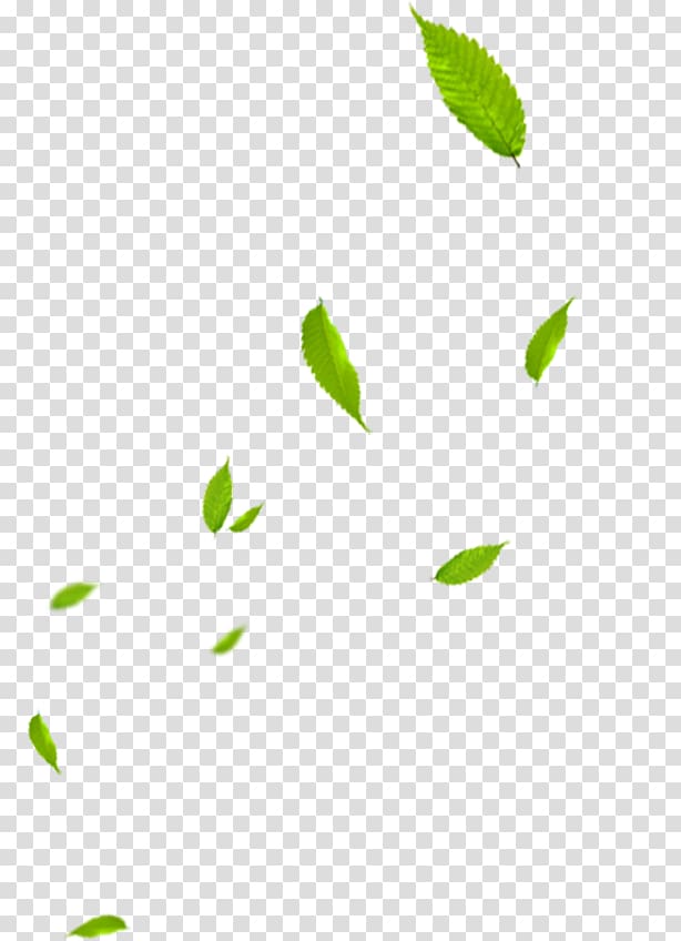 green leaves, Green Banner, leaf transparent background PNG clipart