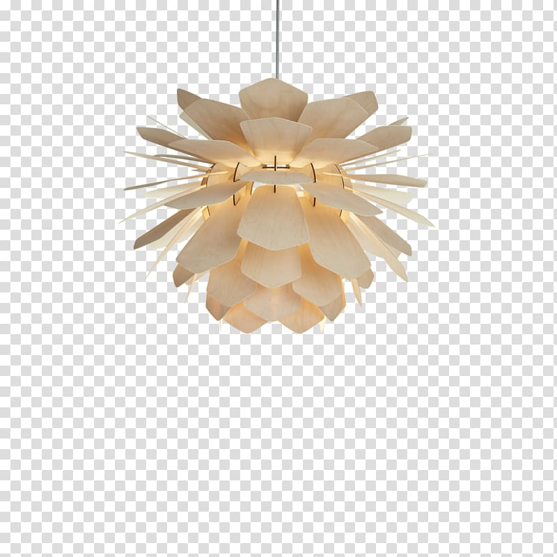 Light fixture Pendant light Conifer cone Lighting, pine cone transparent background PNG clipart