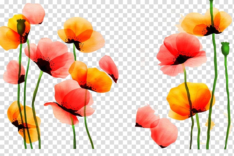 Poppy Watercolor painting Flower Red Yellow, Free Flower Cutout transparent background PNG clipart
