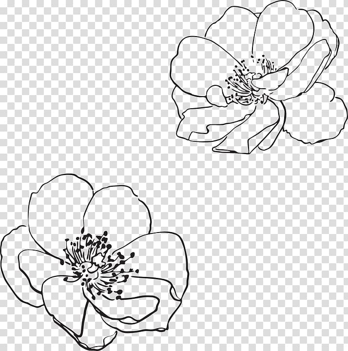 Line art Drawing Flower Visual arts, wildflower transparent background PNG clipart