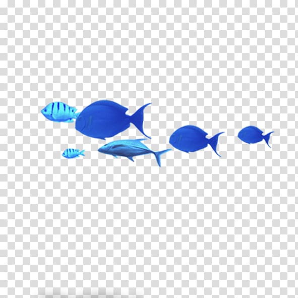 Blue Common carp Fish, Blue Fish transparent background PNG clipart
