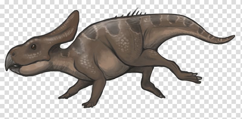 Protoceratops Ceratopsia Late Cretaceous Dinosaur Velociraptor, dinosaur transparent background PNG clipart