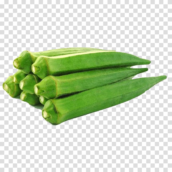 green lady fingers, Okra Indian cuisine Leaf vegetable Pod vegetable, vegetable transparent background PNG clipart
