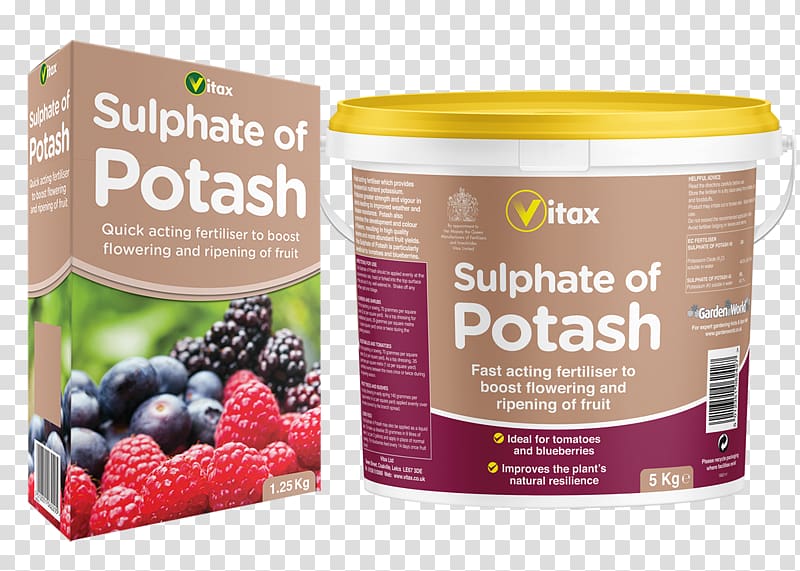 Natural foods Potash Flavor Sulfate Fertilisers, Garlic flower transparent background PNG clipart