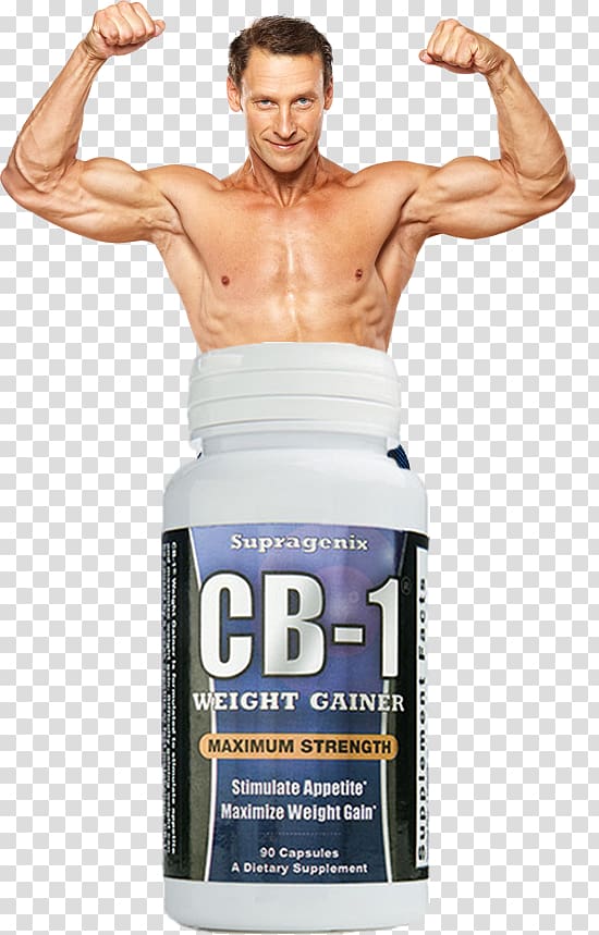 Dietary supplement Muscle hypertrophy Bodybuilding supplement Weight gain, bodybuilding transparent background PNG clipart