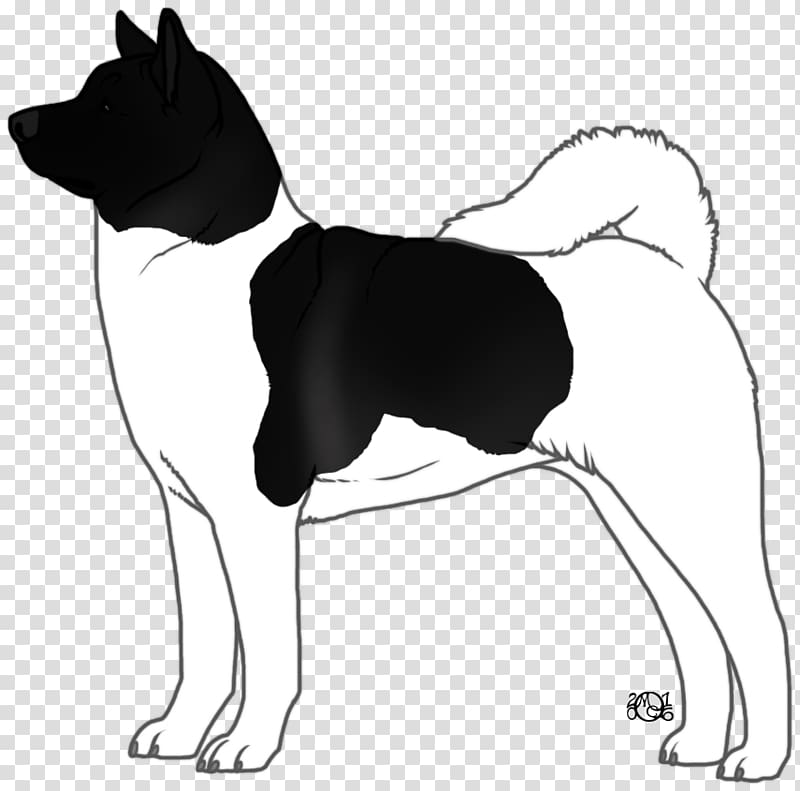 Dog breed Puppy Drawing , Tibetan Mastiff transparent background PNG clipart
