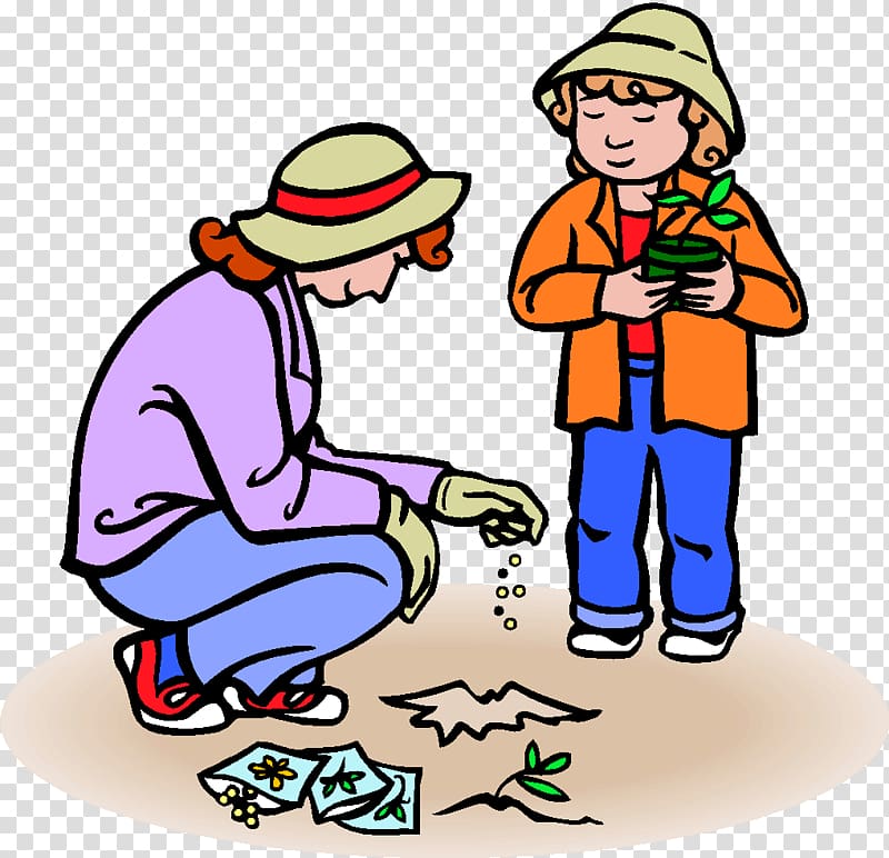 planting seeds clipart