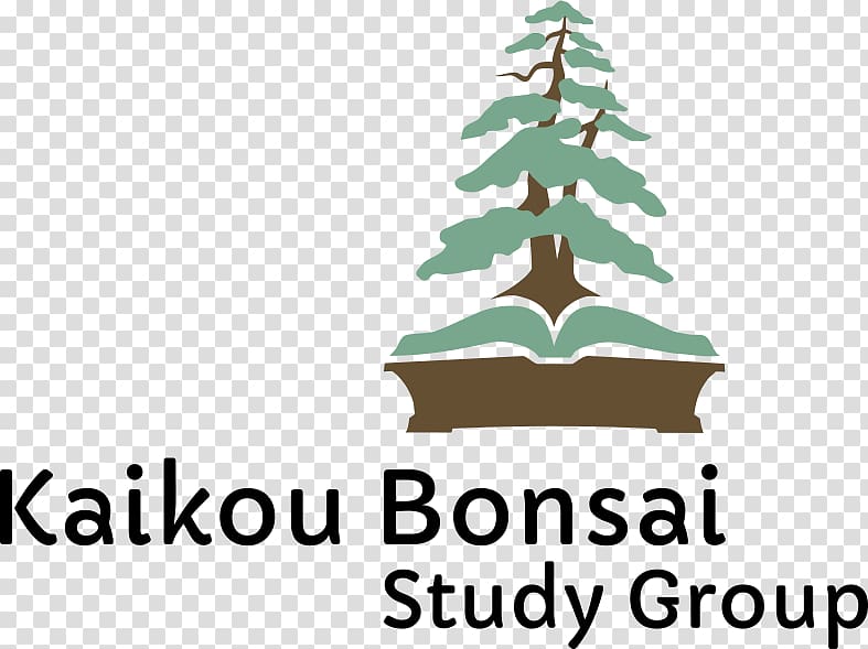 Christmas tree New England Bonsai Gardens Spruce, christmas tree transparent background PNG clipart