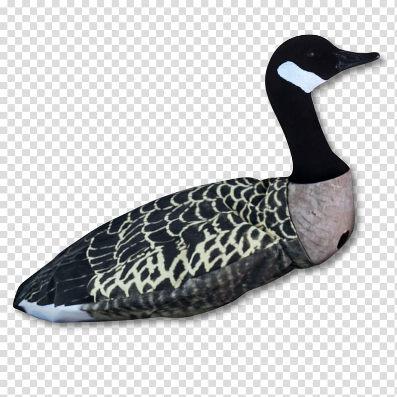 Mallard Greylag goose Duck Waterfowl hunting, goose transparent background PNG clipart