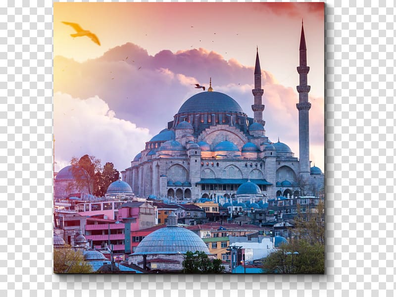 Travel 2017 block of Wikipedia in Turkey Medical tourism Country, Travel transparent background PNG clipart