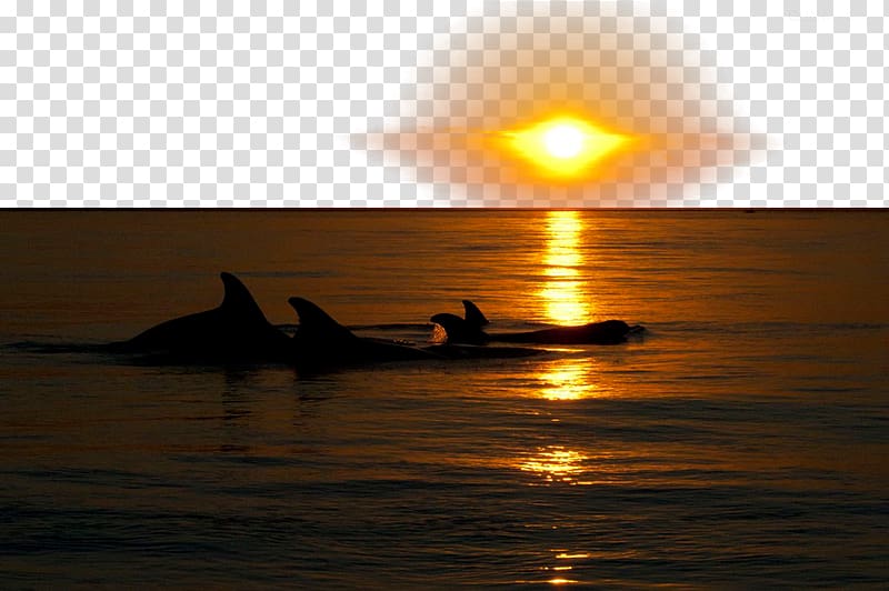 Sunlight , Golden sunshine sea transparent background PNG clipart