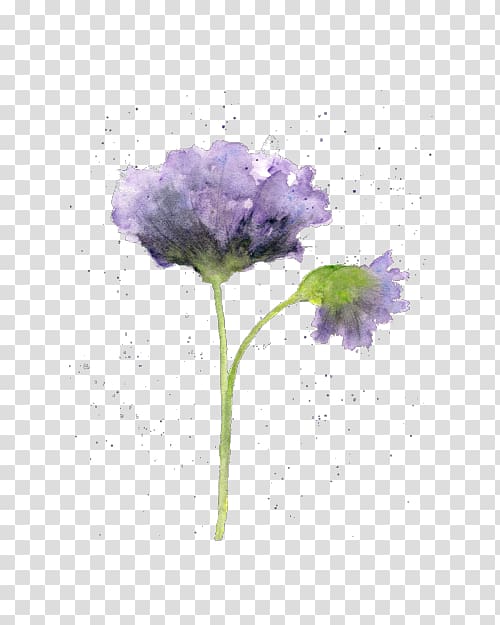 purple petaled flower , Watercolour Flowers Watercolor painting Drawing, watercolor sky transparent background PNG clipart