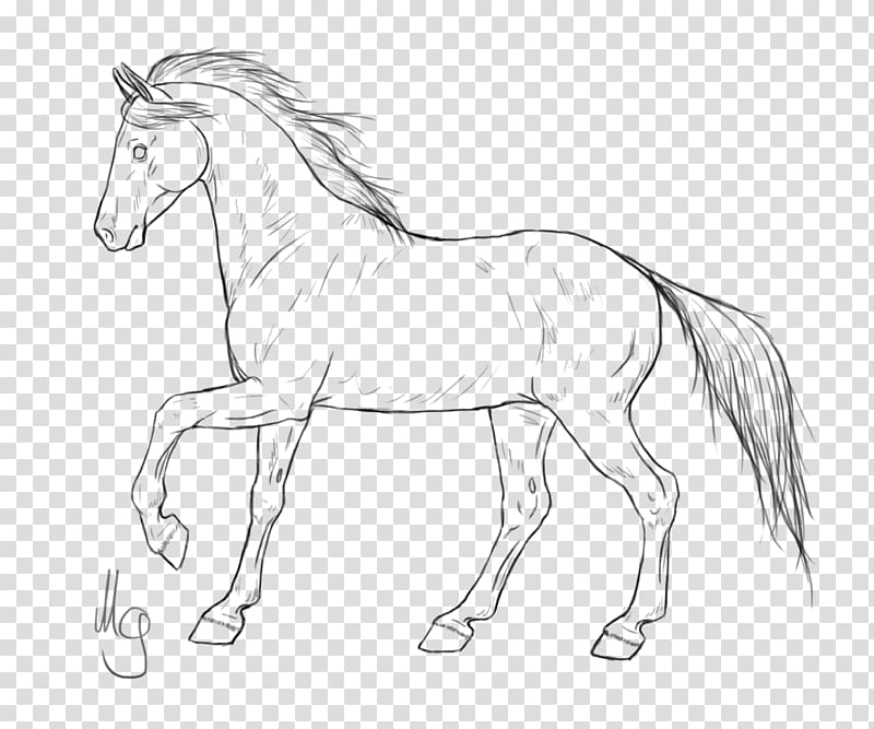 Mustang Horses Pony Line art American Quarter Horse, drawing transparent background PNG clipart