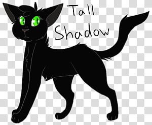 Warriors Shadowstar Kitten Korat Cloudtail, Shadow Warrior transparent background PNG clipart thumbnail