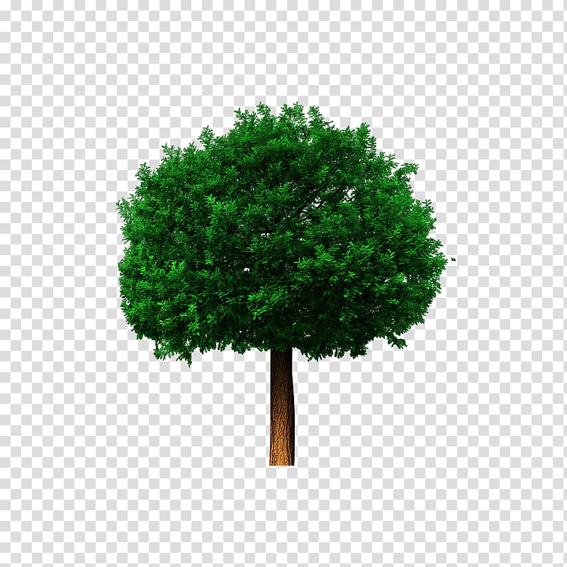 ,castle,cutout,trees,trees,,castle,cutout transparent background PNG clipart