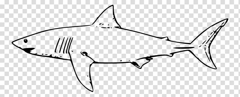Great white shark Drawing Fish Lamniformes , fish transparent background PNG clipart