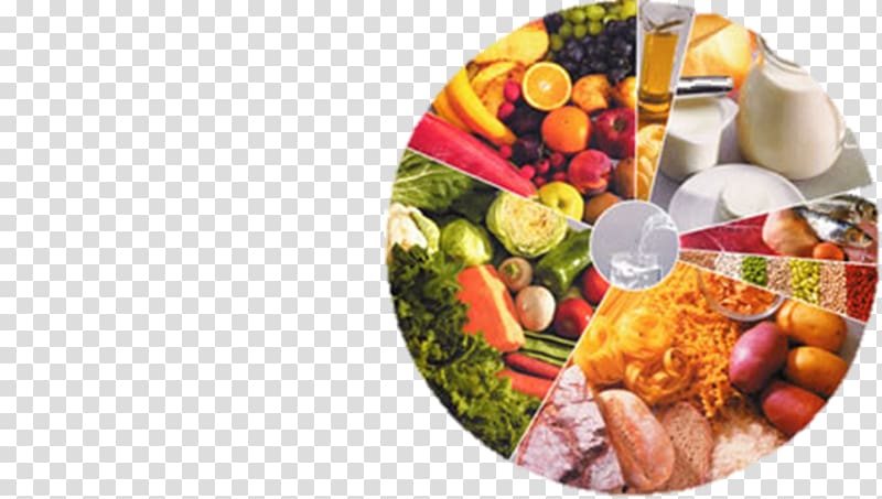 Curtido Food Balance Wheel Eating Salvadoran cuisine, others transparent background PNG clipart