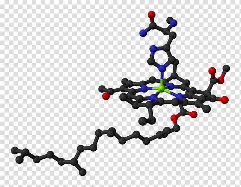Chlorophyll a Ball-and-stick model Molecule Chemistry, others transparent background PNG clipart