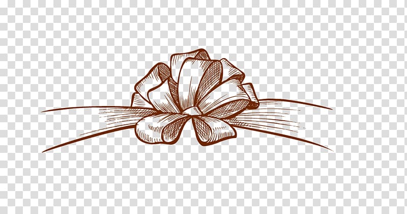 Shoelace knot Flower Ribbon, Hand-painted bow transparent background PNG clipart