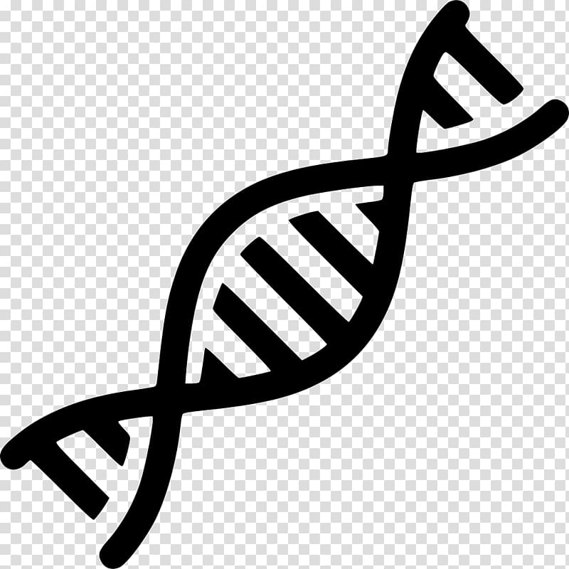 Nucleic acid double helix DNA Computer Icons Gene, transparent background PNG clipart