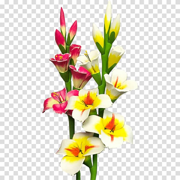 Gladiolus Flower bouquet, Gladiolus transparent background PNG clipart