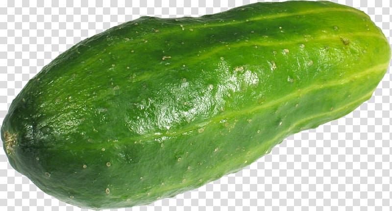 Cucumber Bitter melon Desktop , tomatoes transparent background PNG clipart