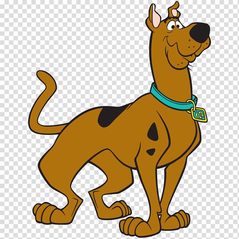 Scooby Doo Shaggy Rogers Velma Dinkley Fred Jones Daphne Blake, scooby doo transparent background PNG clipart