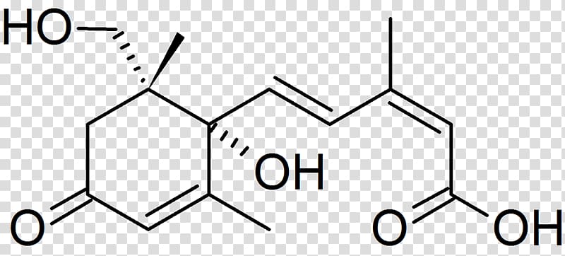 2-Nitrobenzaldehyde 4-Nitrobenzaldehyde 3-Nitrobenzaldehyde Hydroxy group Substituent, transparent background PNG clipart