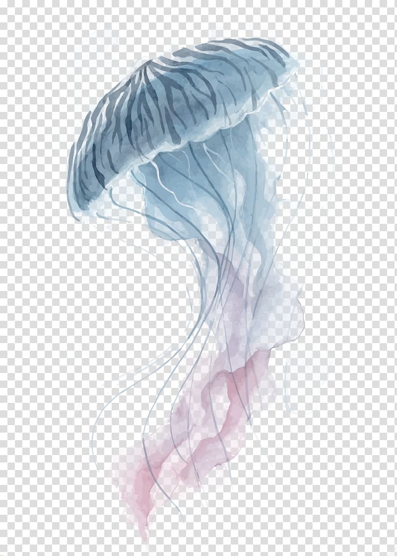 gray jelly fish illustration, Jellyfish Watercolor painting, jellyfish transparent background PNG clipart