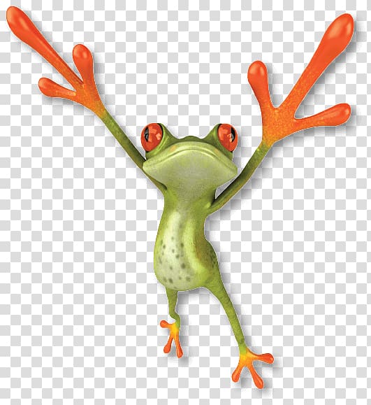 Frog , frog transparent background PNG clipart