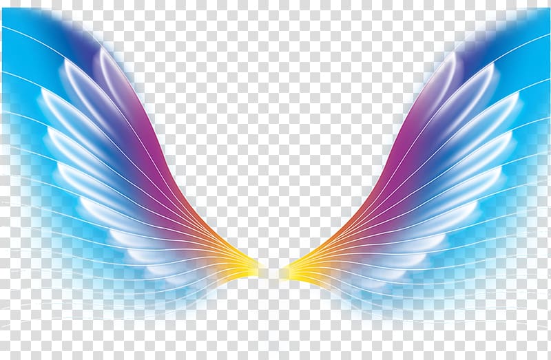 multicolored wing graphic illustration, Color Wing, Dream Wings transparent background PNG clipart