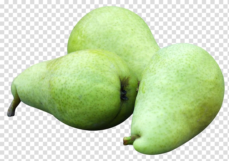 Asian pear Crisp Apple Fruit, Pear Fruit transparent background PNG clipart