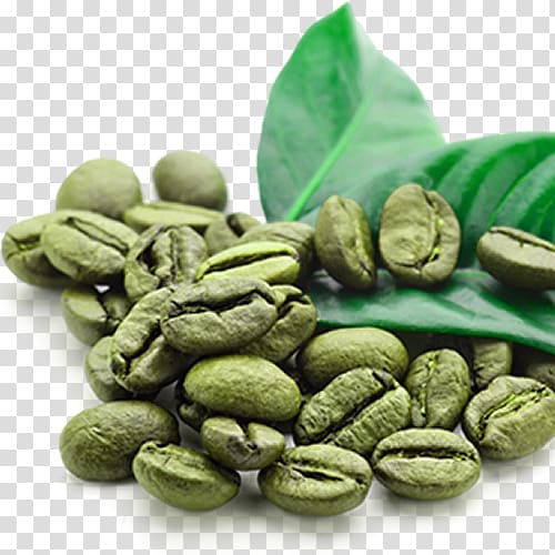 Instant coffee Green tea Green coffee extract Coffee bean, Coffee transparent background PNG clipart