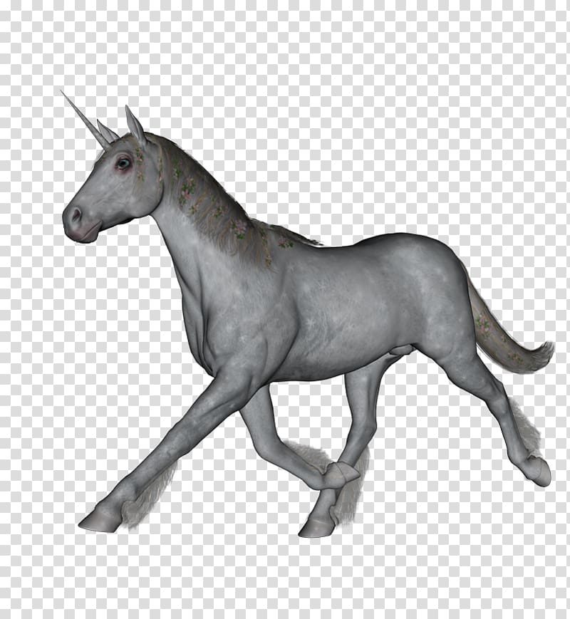 Mule Horse Gouache Halter Sketch, fantasy spot transparent background PNG clipart