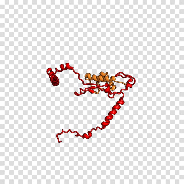 Eukaryotic large ribosomal subunit Ribosome Ribosomal protein Svedberg, others transparent background PNG clipart
