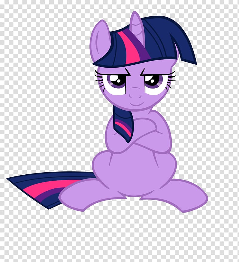 Twilight Sparkle graphics Pony Rainbow Dash, Bossy transparent background PNG clipart