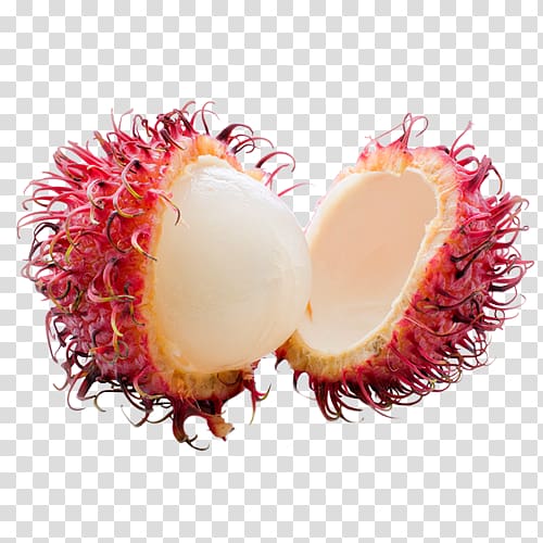 Rambutan, others transparent background PNG clipart