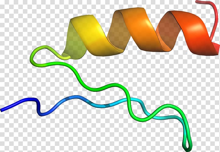 Line , design transparent background PNG clipart