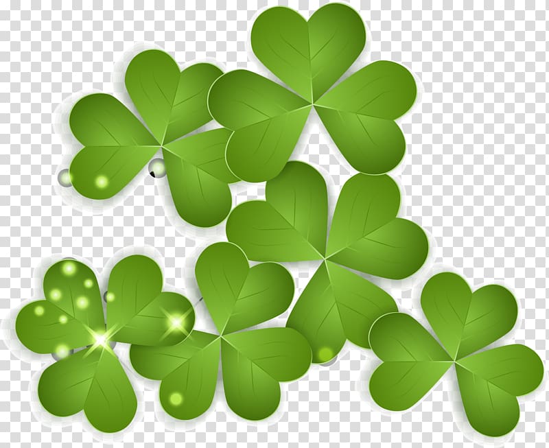 Ireland Saint Patricks Day Clover, Beautifully Clover transparent background PNG clipart