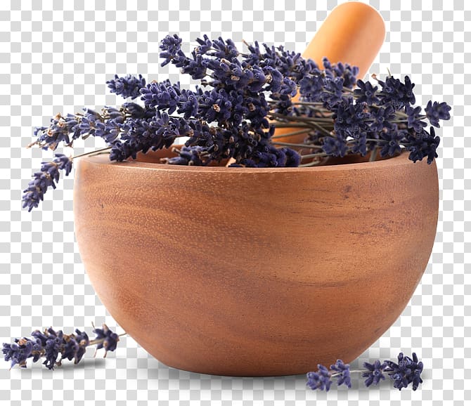 Essential oil Lavender oil Herb Apothecary, lavender in a bowl transparent background PNG clipart