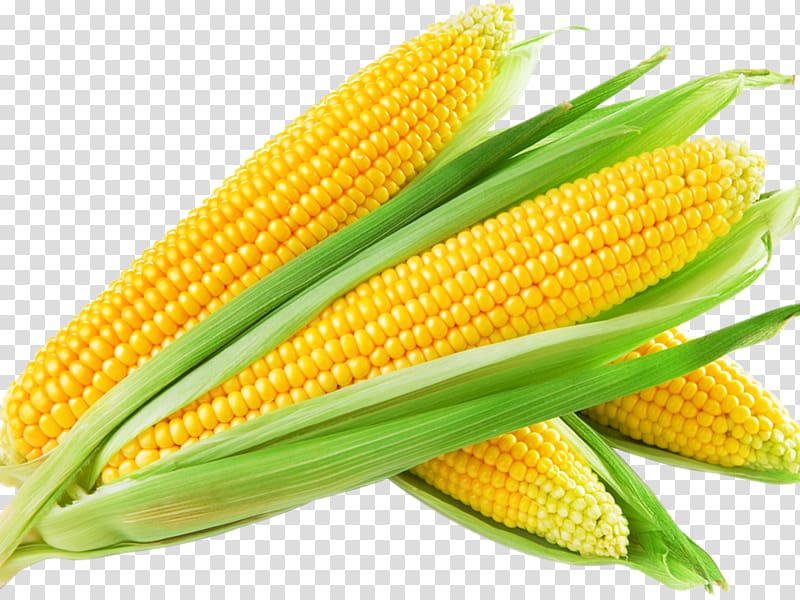 Maize Sweet corn , others transparent background PNG clipart