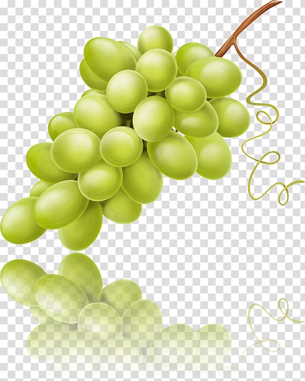 Sultana Seedless fruit Grape seed extract Verjuice, grape transparent background PNG clipart