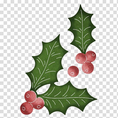 Leaf Cheery Lynn Designs Die Common holly Aquifoliales, holly leaf transparent background PNG clipart