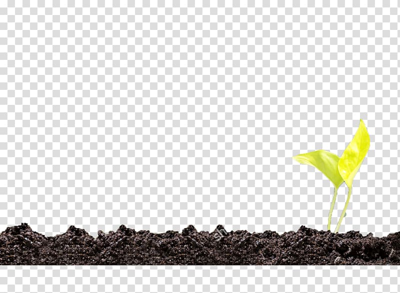 Soil Plant Green, others transparent background PNG clipart
