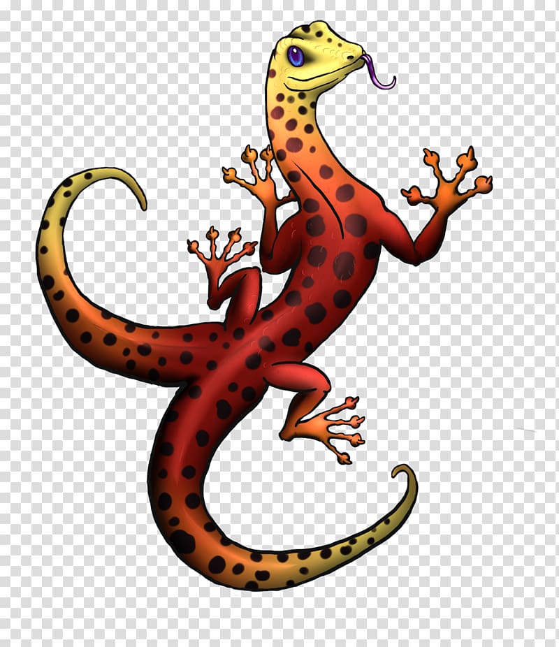 Gecko Lizard Amphibians Terrestrial animal , lizard transparent background PNG clipart