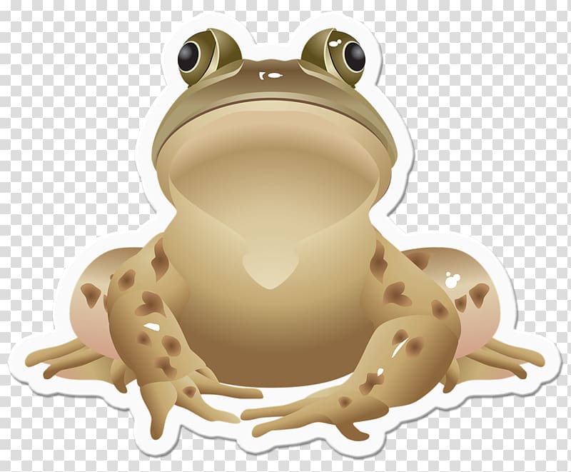 Frog jumping contest Southern brown tree frog , frog transparent background PNG clipart