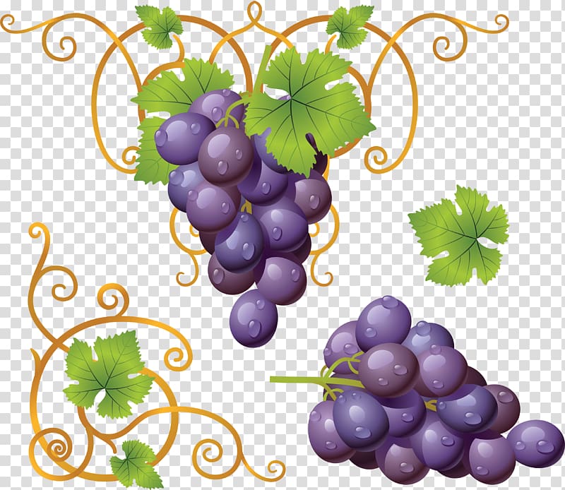 Common Grape Vine Wine Must, Grape transparent background PNG clipart